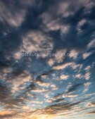 Анкета проститутки Марина - метро Нижегородский, возраст - 22